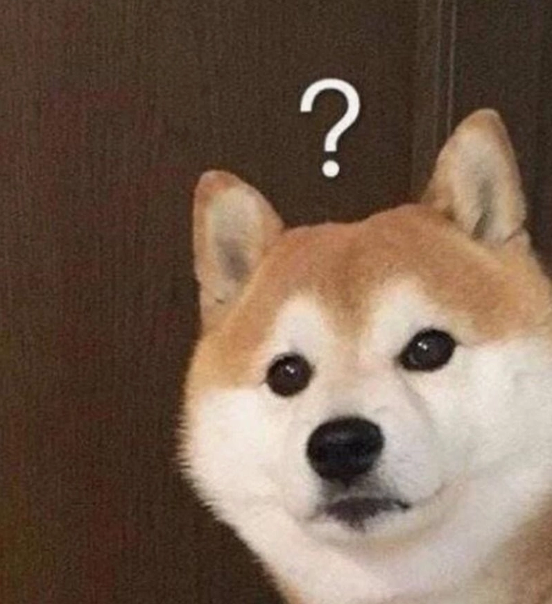 Hình ảnh ảnh meme Tới công chuyện ngơ ngác hết sức đáng yêu