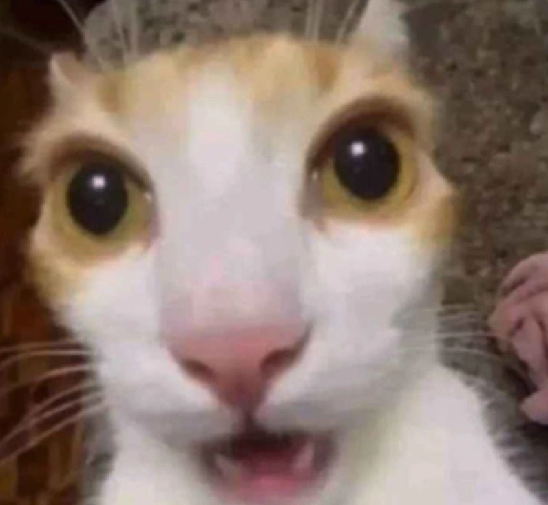 Hình ảnh ảnh meme Trùng sinh với biểu cảm hoảng sợ và ngỡ ngàng