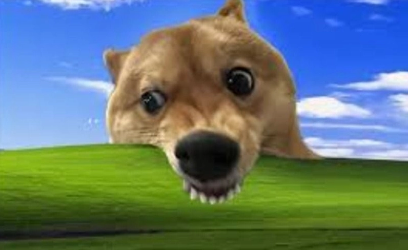 Hình ảnh meme Năng lượng tính nữ hoa hồng dịu dàng