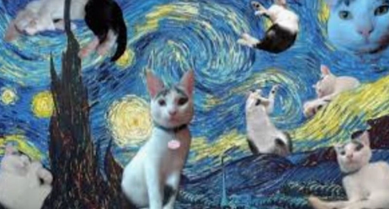 Hình ảnh meme Năng lượng tính nữ lụa mềm mại