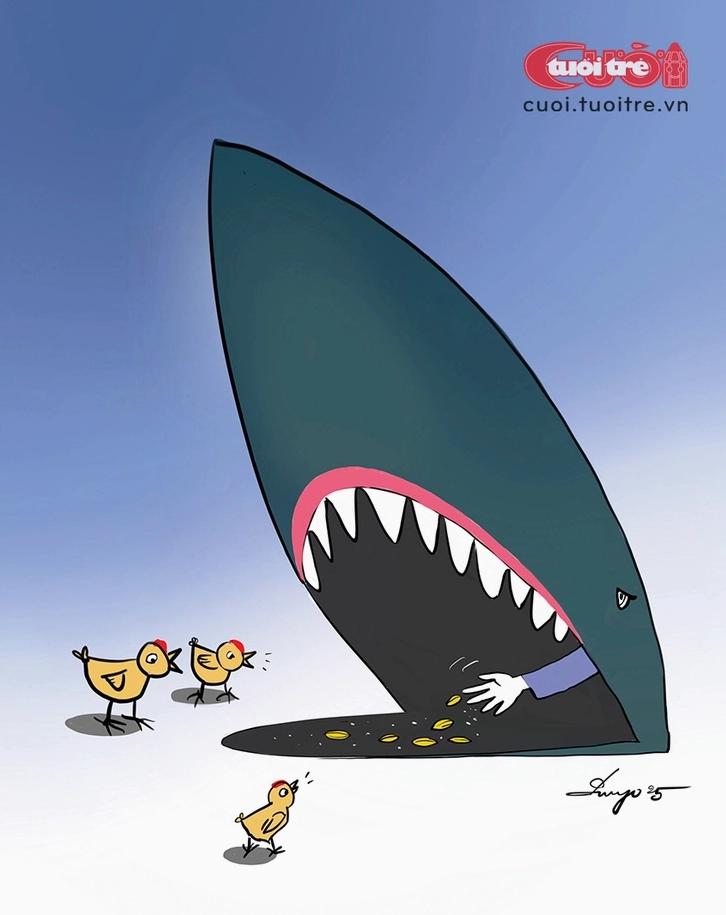 Hình ảnh shark với ánh mắt sắc lẹm một ảnh meme Lùa gà kinh điển