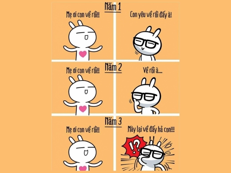 Meme ăn dưa hài hước về thái độ phụ huynh 3 năm đại học