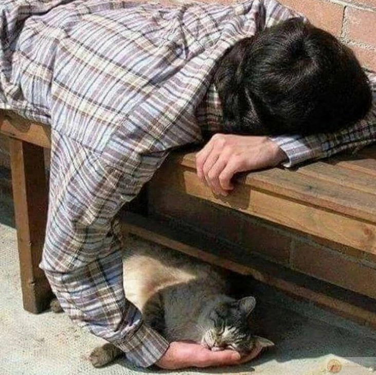 Meme Gòi xong chọn ngủ để trốn tránh thực tại cuộc sống