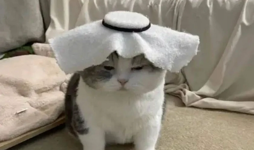 Meme Hướng ngoại part-time với biểu cảm vô tri đạt đến đỉnh cao