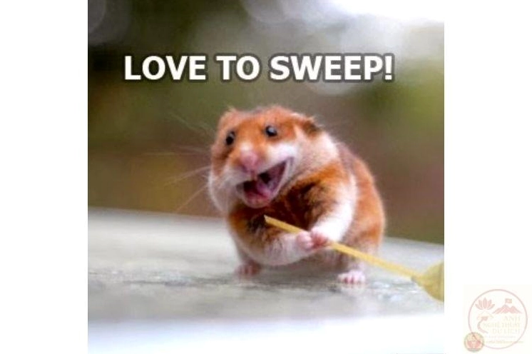 Meme Mất gốc biến mất gây cười bởi cách xử lý tình huống sáng tạo