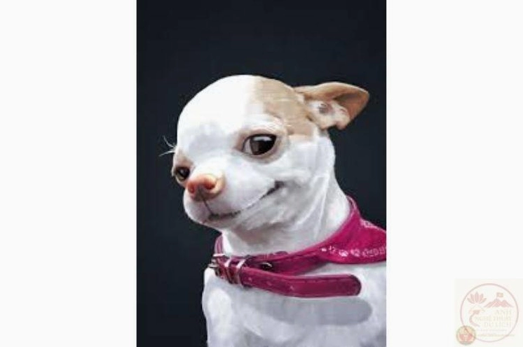 Meme Mất gốc tan biến khiến người xem liên tưởng phim huyền ảo