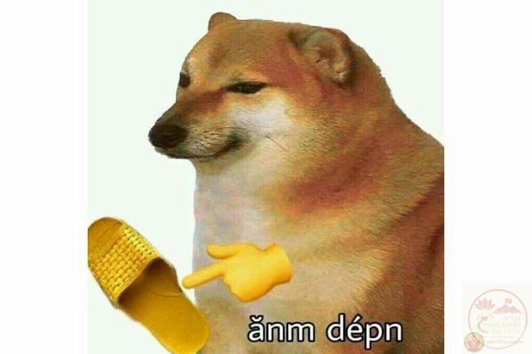 Meme Mất gốc tàng hình ẩn hiện tạo nên điểm nhấn khác biệt