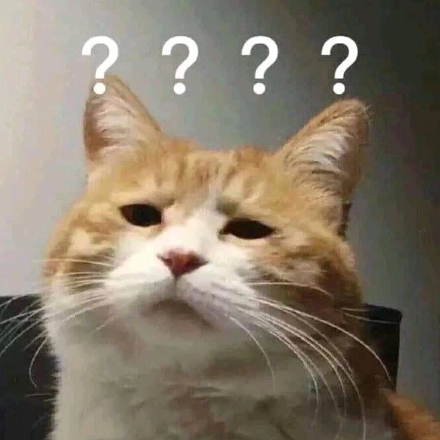 Mèo biểu cảm ngạc nhiên trong ảnh meme Đu idol