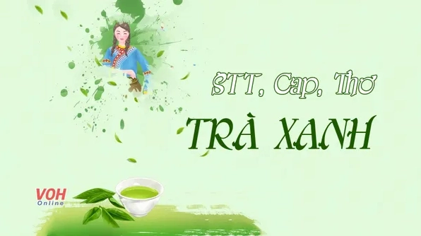 Ngắm nhìn trọn bộ ảnh meme Trà xanh cực độc đáo và cuốn hút