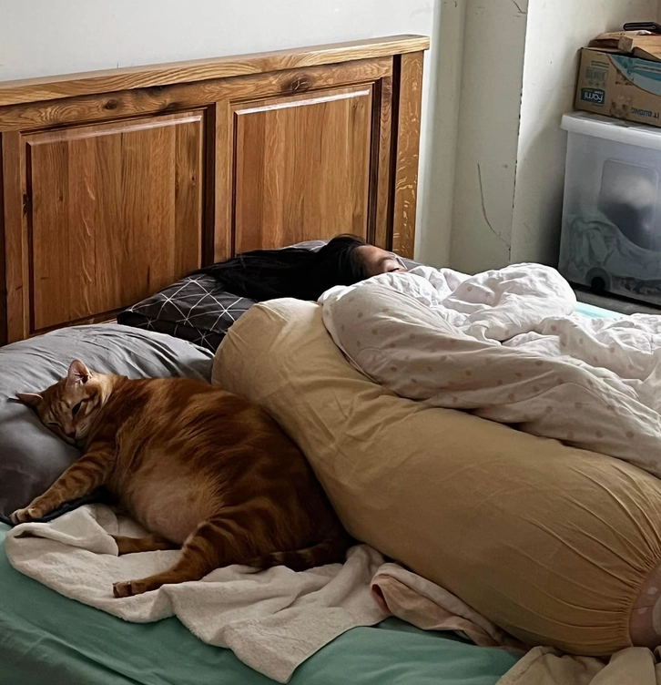 Phát hiện thêm tượng con vật kỳ dị hai đầu ẩn mình trong bối cảnh đường phố Việt Nam