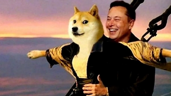 Trọn bộ ảnh meme Năng lượng tính nữ đẹp dịu dàng khó cưỡng